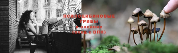 гашиш Аркадак