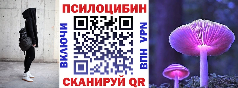 закладки  Кологрив  mega ТОР  Псилоцибиновые грибы ЛСД 